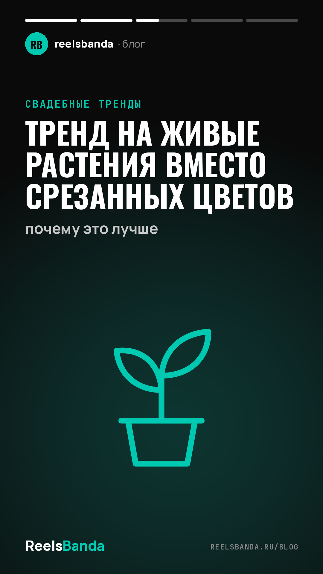 Тренд на живые растения вместо срезанных цветов: почему это лучше