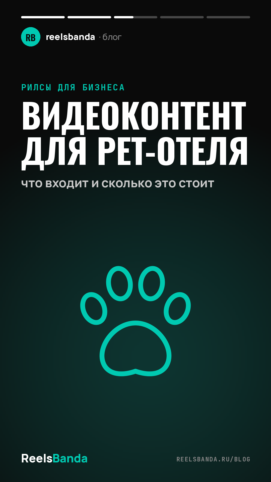 Видеоконтент для pet-отеля: что входит и сколько это стоит