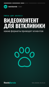 Видеоконтент для ветклиники: какие форматы приводят клиентов